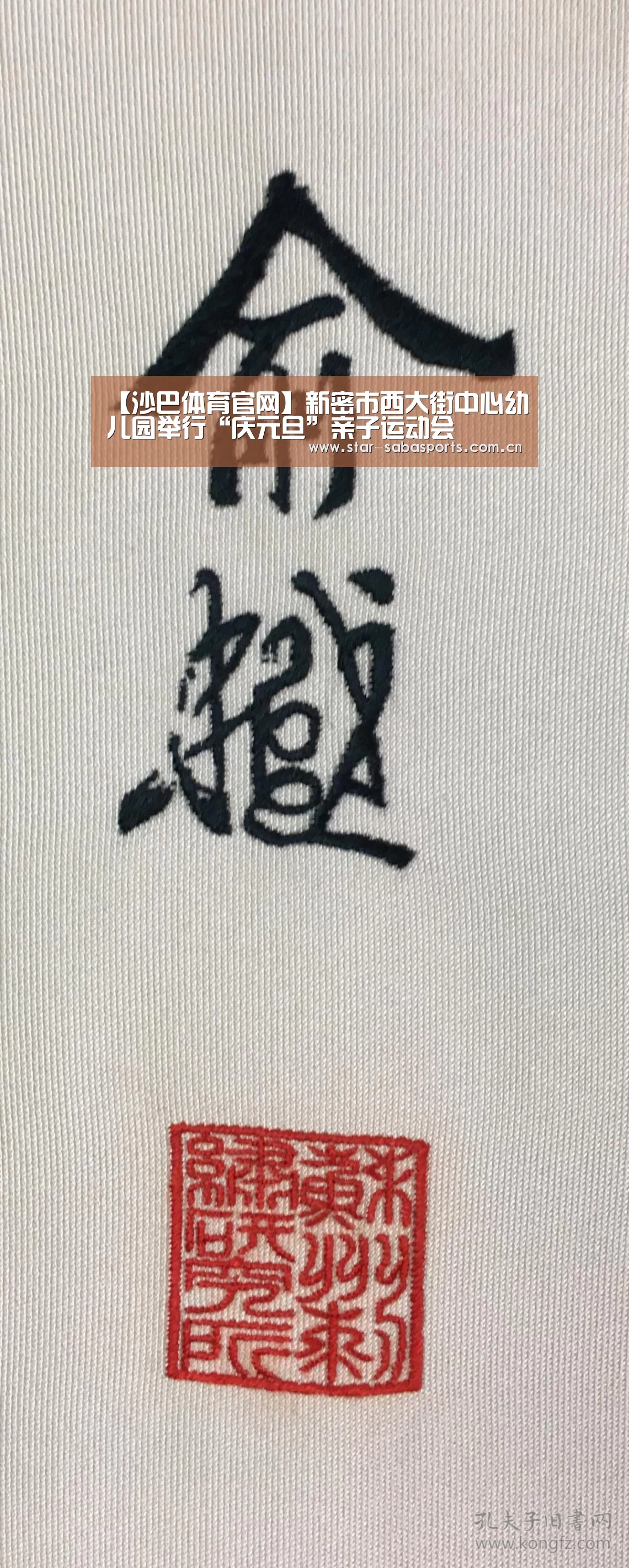 【沙巴体育官网】新密市西大街中心幼儿园举行“庆元旦”亲子运动会(图4) 沙巴体育官网