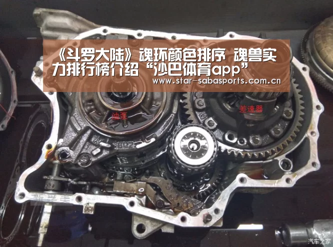 《斗罗大陆》魂环颜色排序 魂兽实力排行榜介绍“沙巴体育app”(图3) 沙巴体育平台
