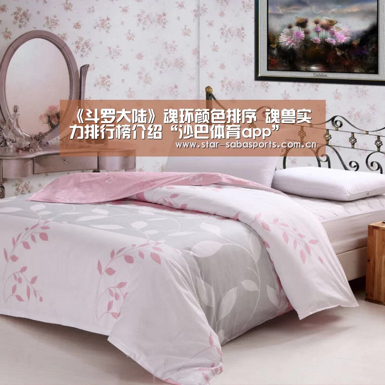 《斗罗大陆》魂环颜色排序 魂兽实力排行榜介绍“沙巴体育app”(图2) 沙巴体育